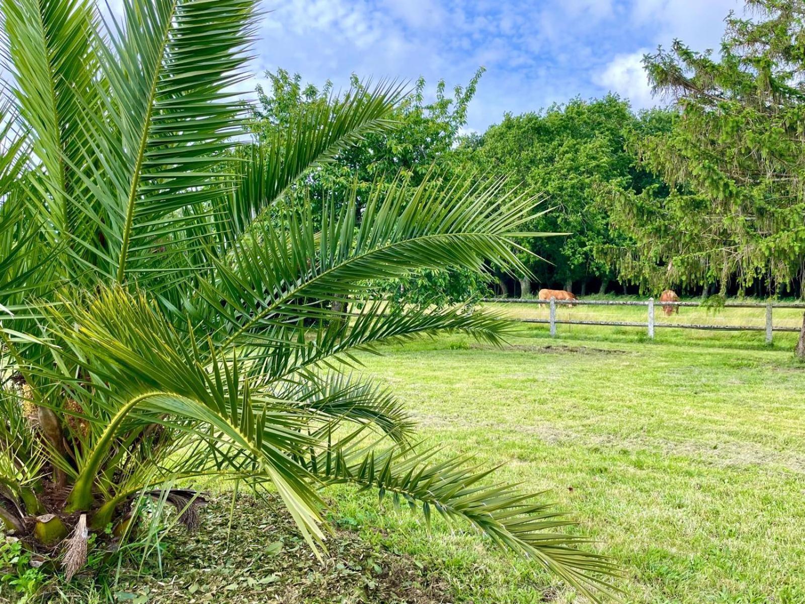Domaine Du Galon D'Or Villa Arvert Buitenkant foto